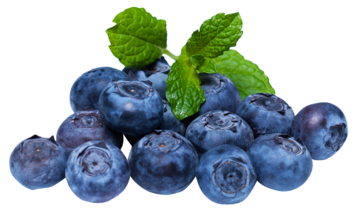 Blue Berry - Per Pack/Per Box(6pack)