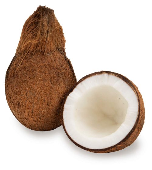 Coconut - Per Unit