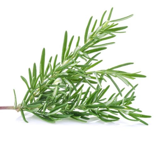 Rosemary - (Per 200g)