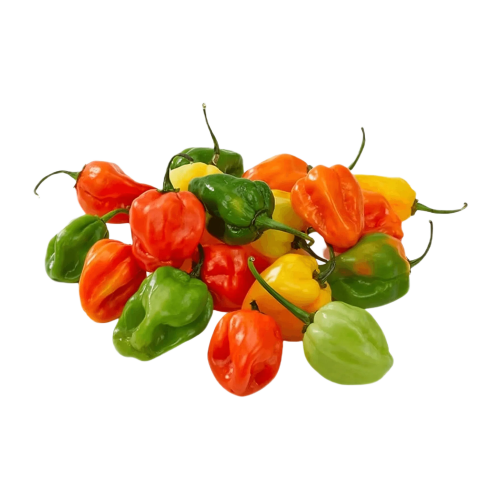 Chilli Habanero - (Per Pack/Per Kg)